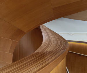 Frank Gehry's Sculptural Staircase