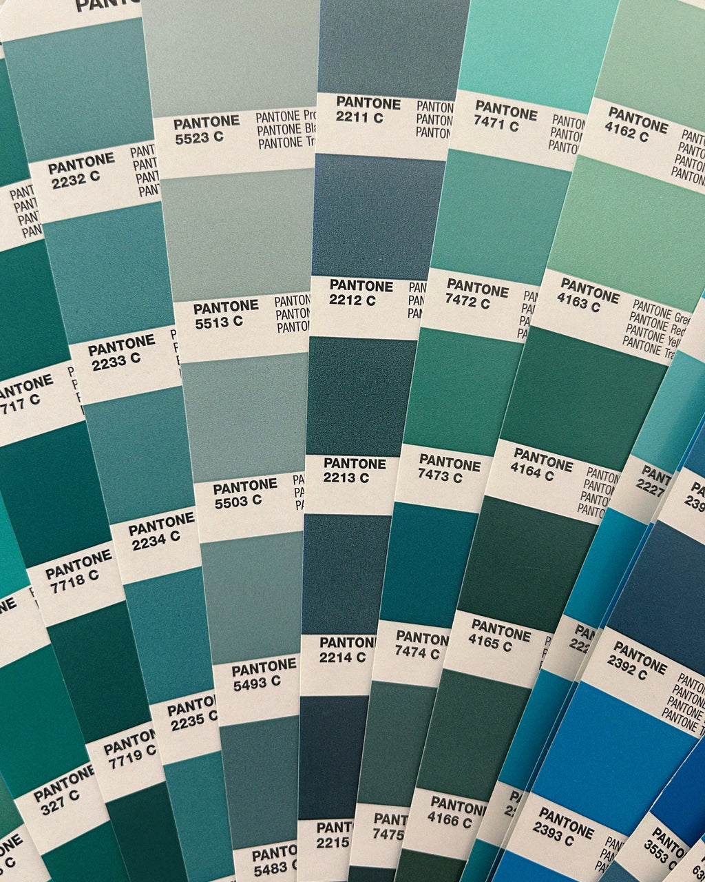 Image Credit: Eittem