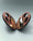 Owl in Woodgrain